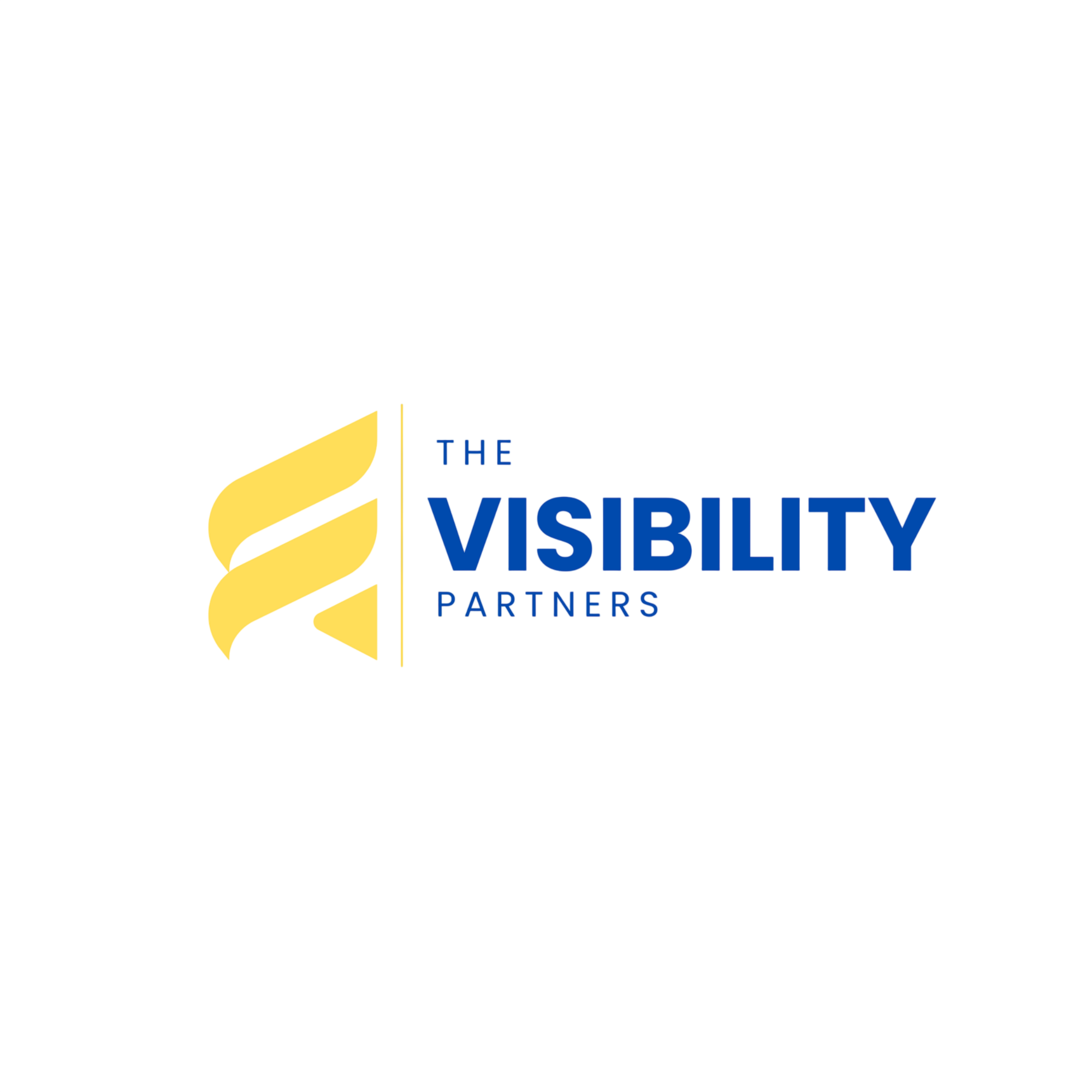thevisibilitypartners.com